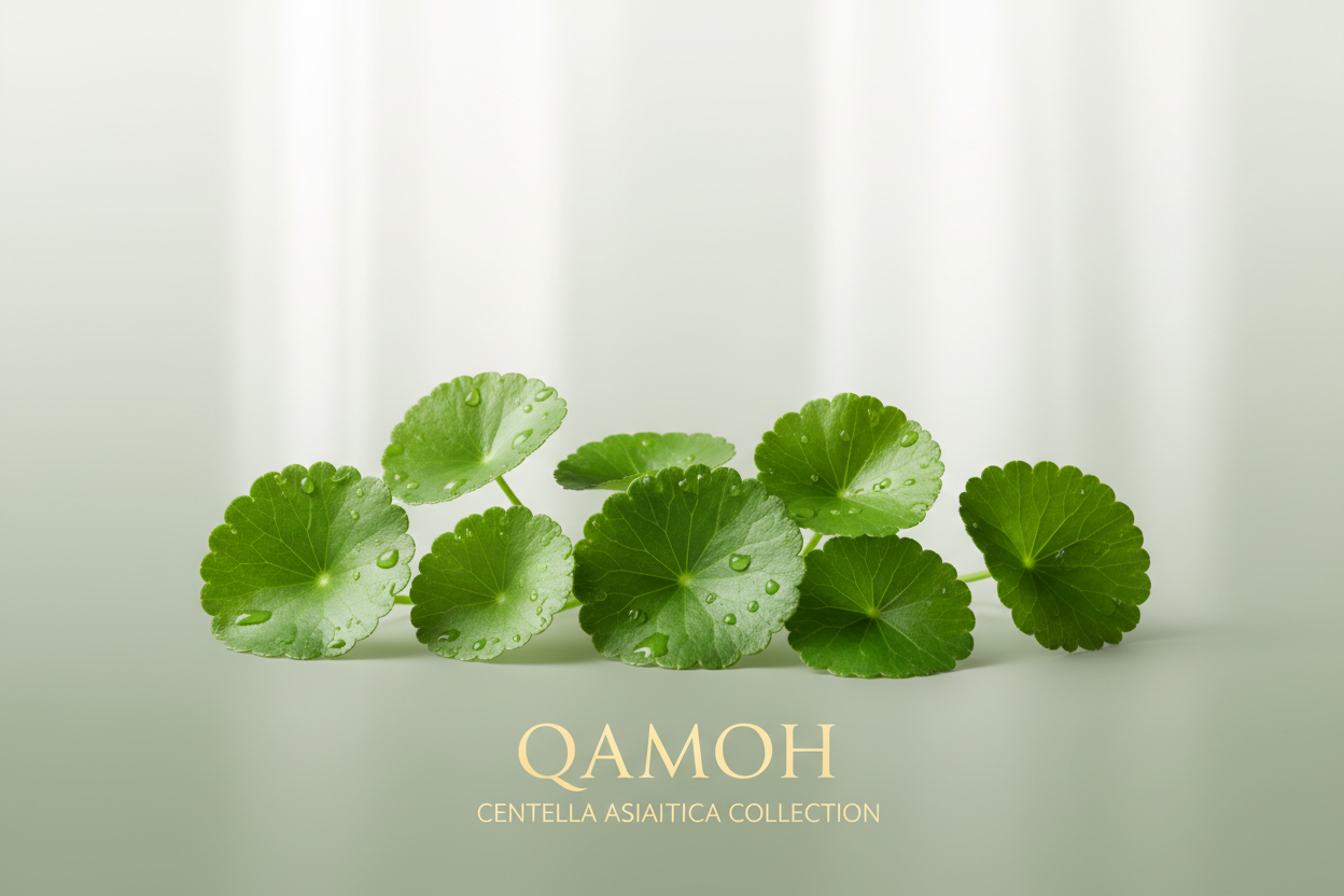 Centella Asiatica Collection